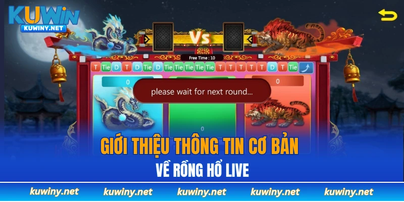 Giới thiệu thông tin cơ bản về rồng hổ live