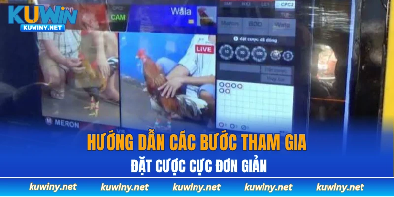 Hướng dẫn các bước tham gia đặt cược cực đơn giản