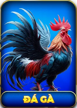 Icon đá gà kuwin