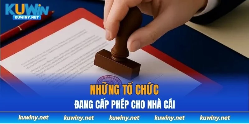 Những tổ chức đang cấp phép cho nhà cái