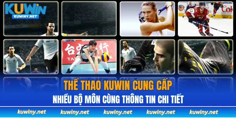 Thể thao KUWIN cung cấp nhiều bộ môn cùng thông tin chi tiết
